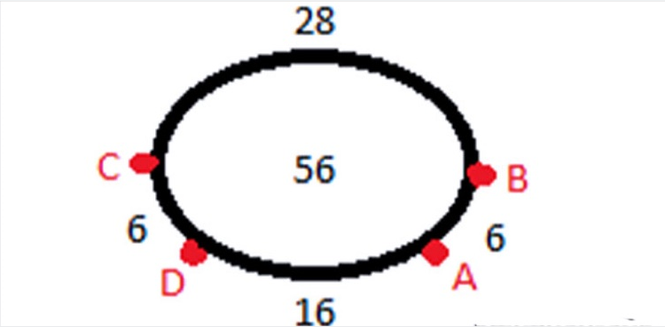 អាវយឺតឆ្កែ ០៣