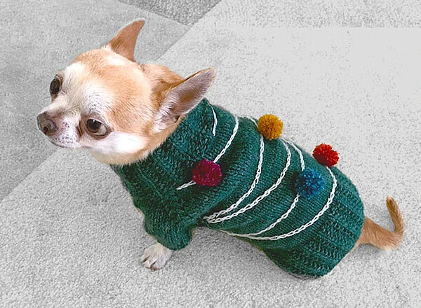 knit dog sweater